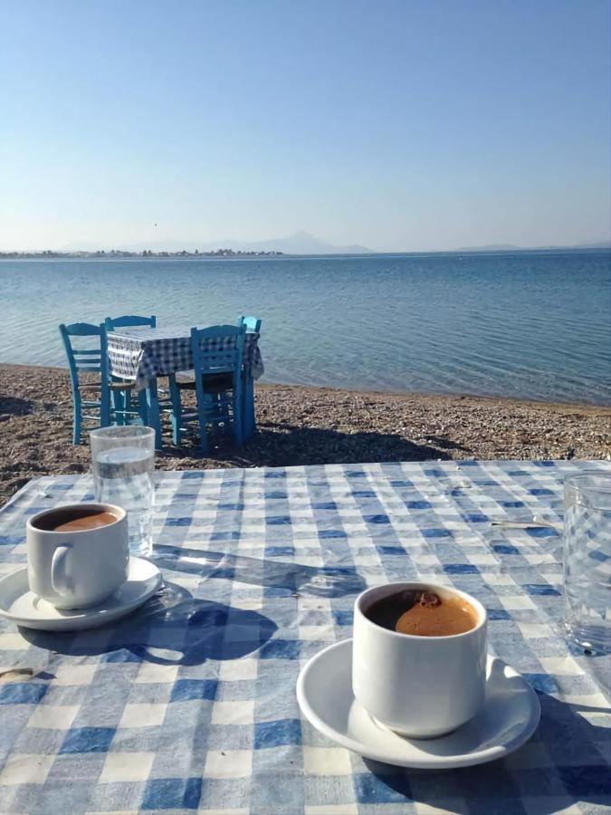 Cozy Apartment In Nea Palatia-Oropos Bagian luar foto